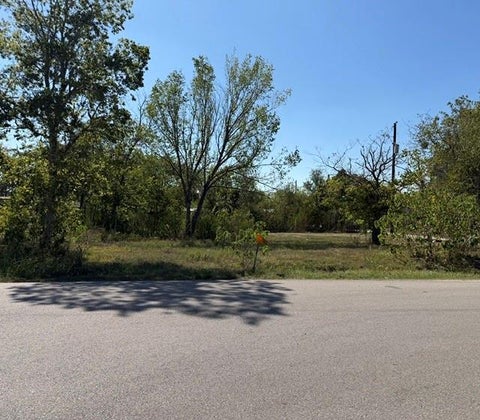 Photo of 1702 Courtney Road, Navasota, TX 77868 (MLS # 38231897)