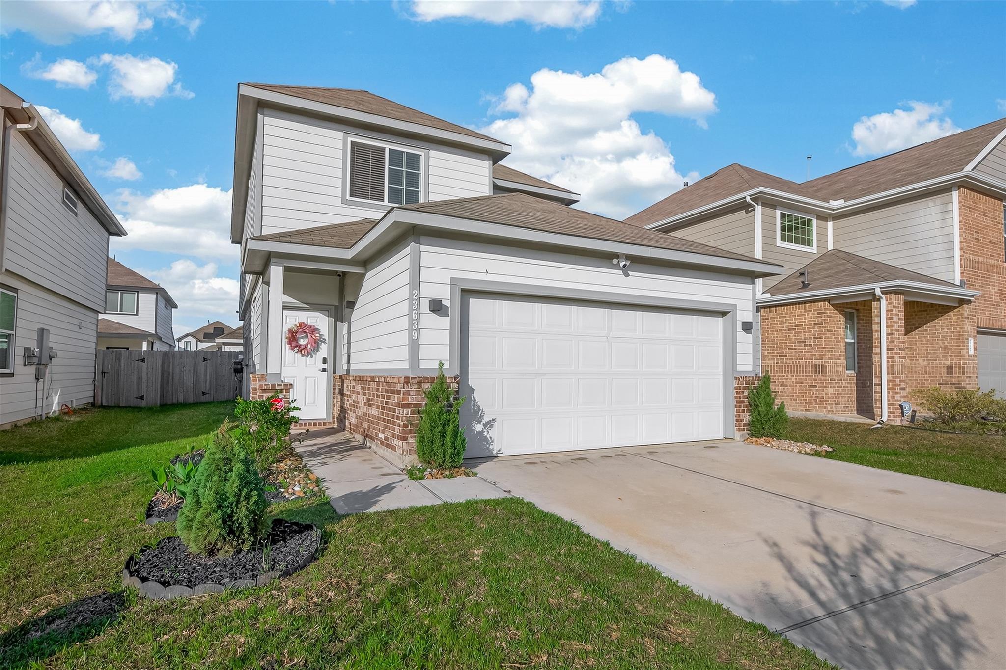 23639 Buttress Root Drive