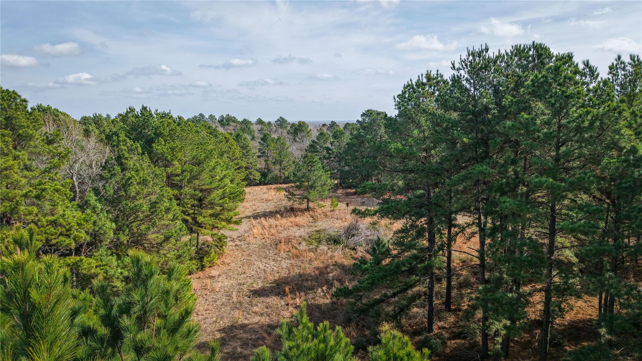 (39.15 acres) 12868 County Road 122