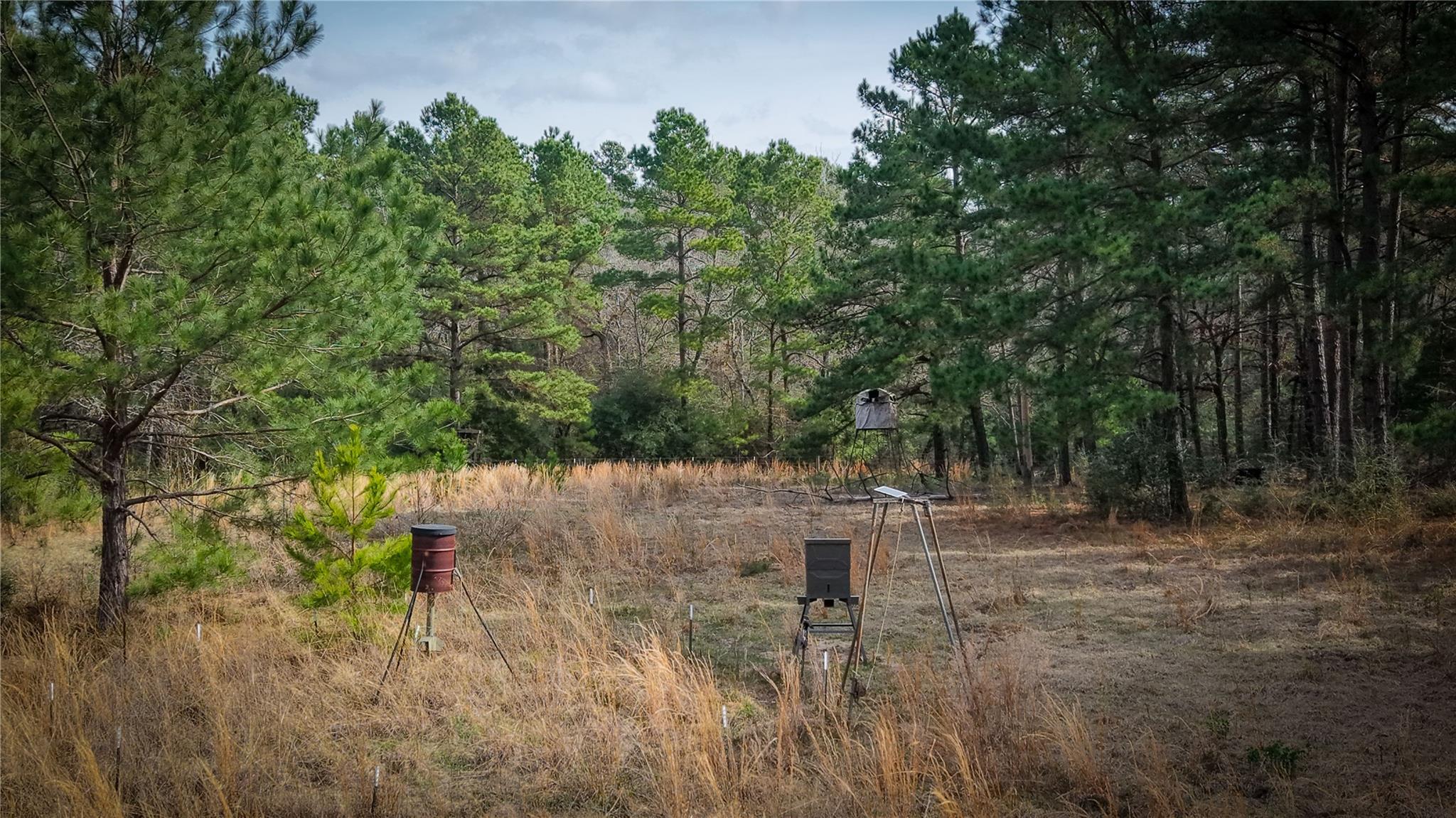 (39.15 acres) 12868 County Road 122