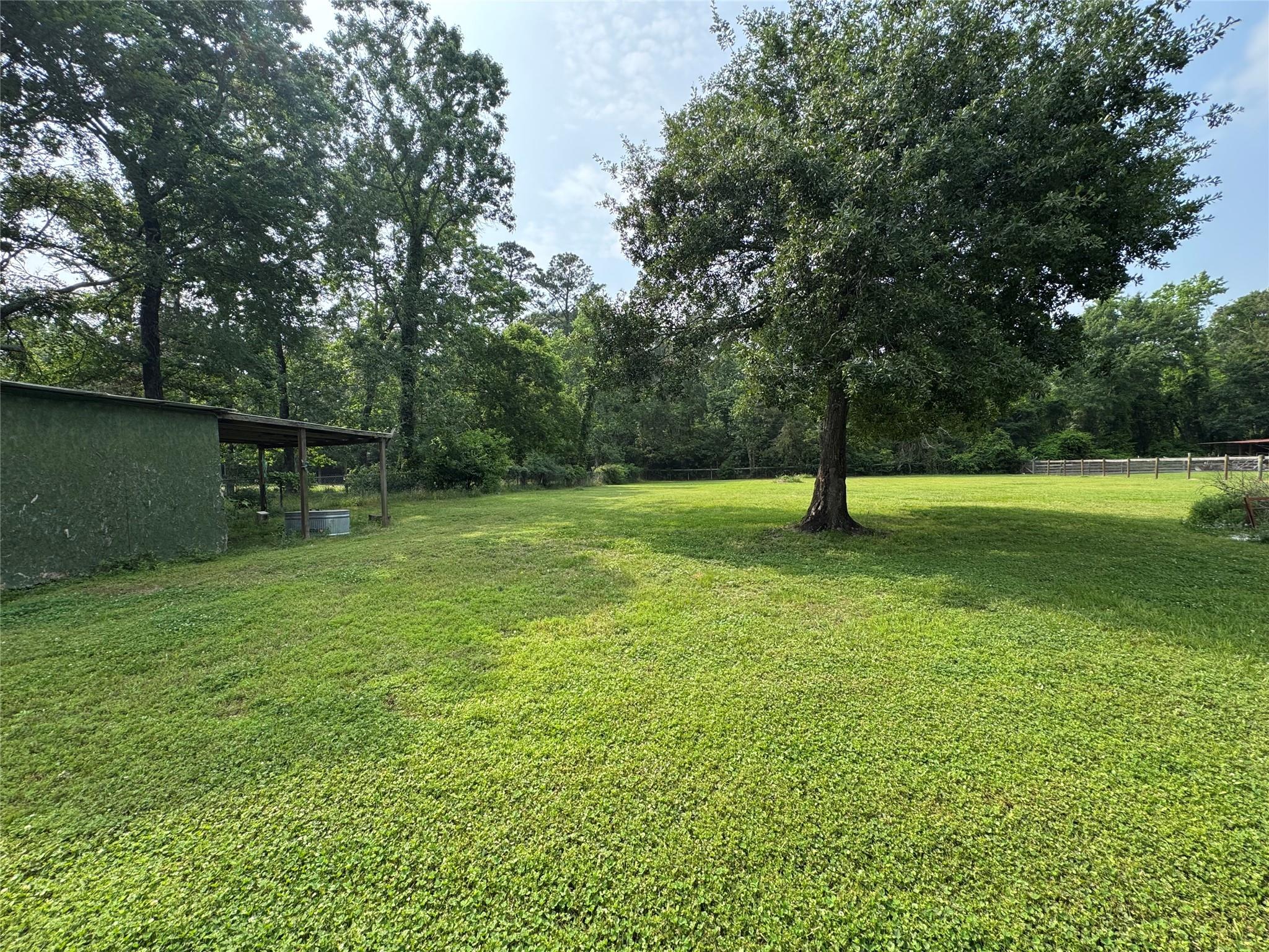 31119 Green Tree Road