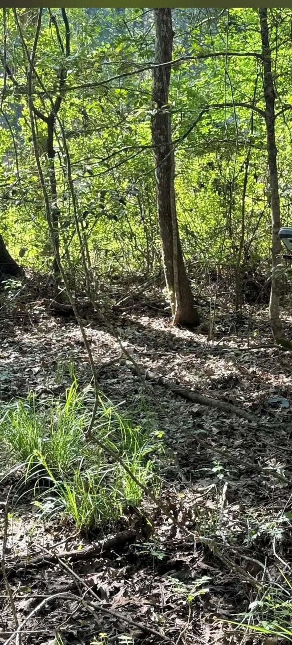 Photo of 11 Cristal Lane, Roman Forest, TX 77357 (MLS # 25208105)