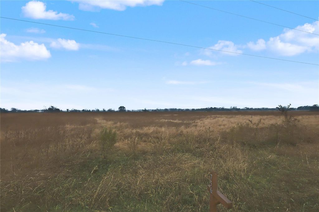 Photo of 756 County Road 100 Rd, Boling, TX 77420 (MLS # 45138690)