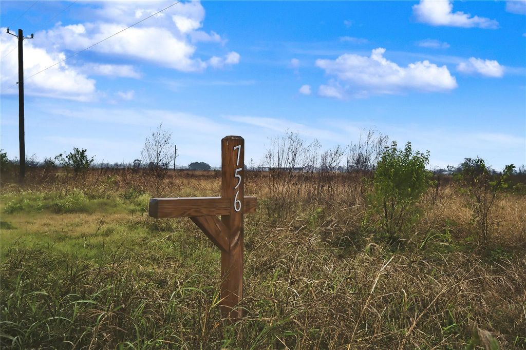 Photo of 756 County Road 100 Rd, Boling, TX 77420 (MLS # 45138690)