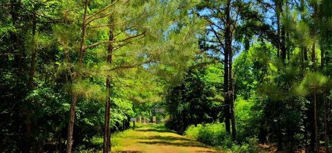 Photo of 9490 S State Highway 19, Lovelady, TX 75851 (MLS # 26231705)
