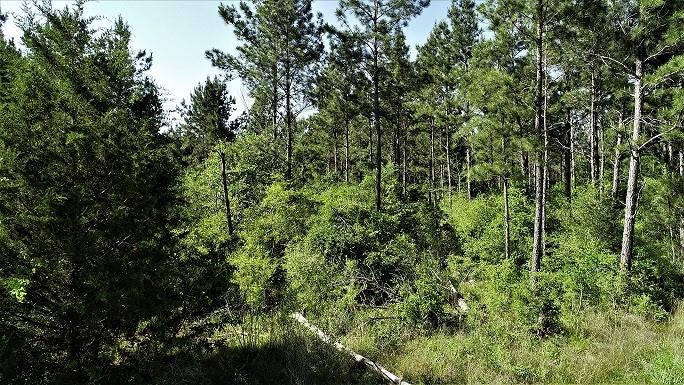 9490 S State Highway 19
