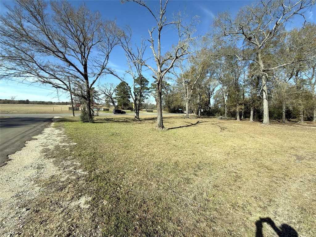 Photo of 356 Skains Lane, Trinity, TX 75862 (MLS # 80969114)