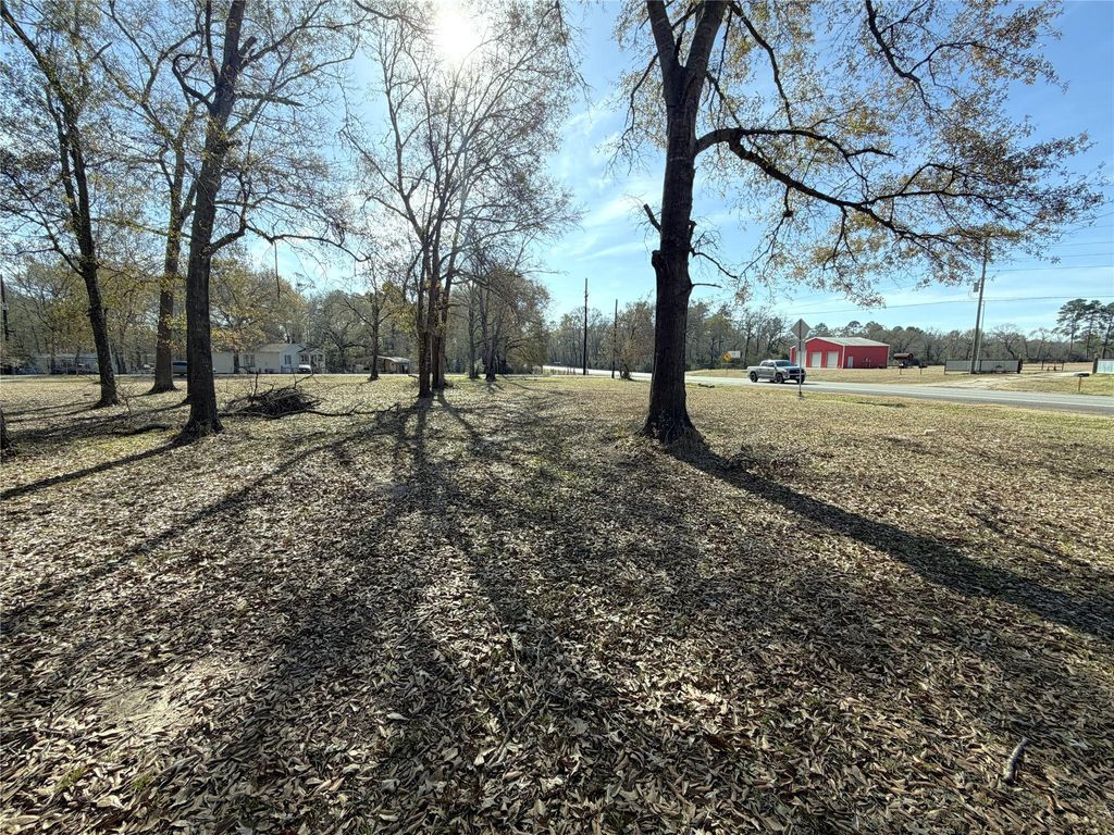 Photo of 356 Skains Lane, Trinity, TX 75862 (MLS # 80969114)