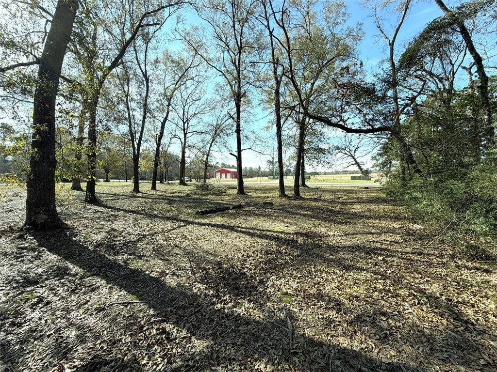 Photo of 356 Skains Lane, Trinity, TX 75862 (MLS # 80969114)