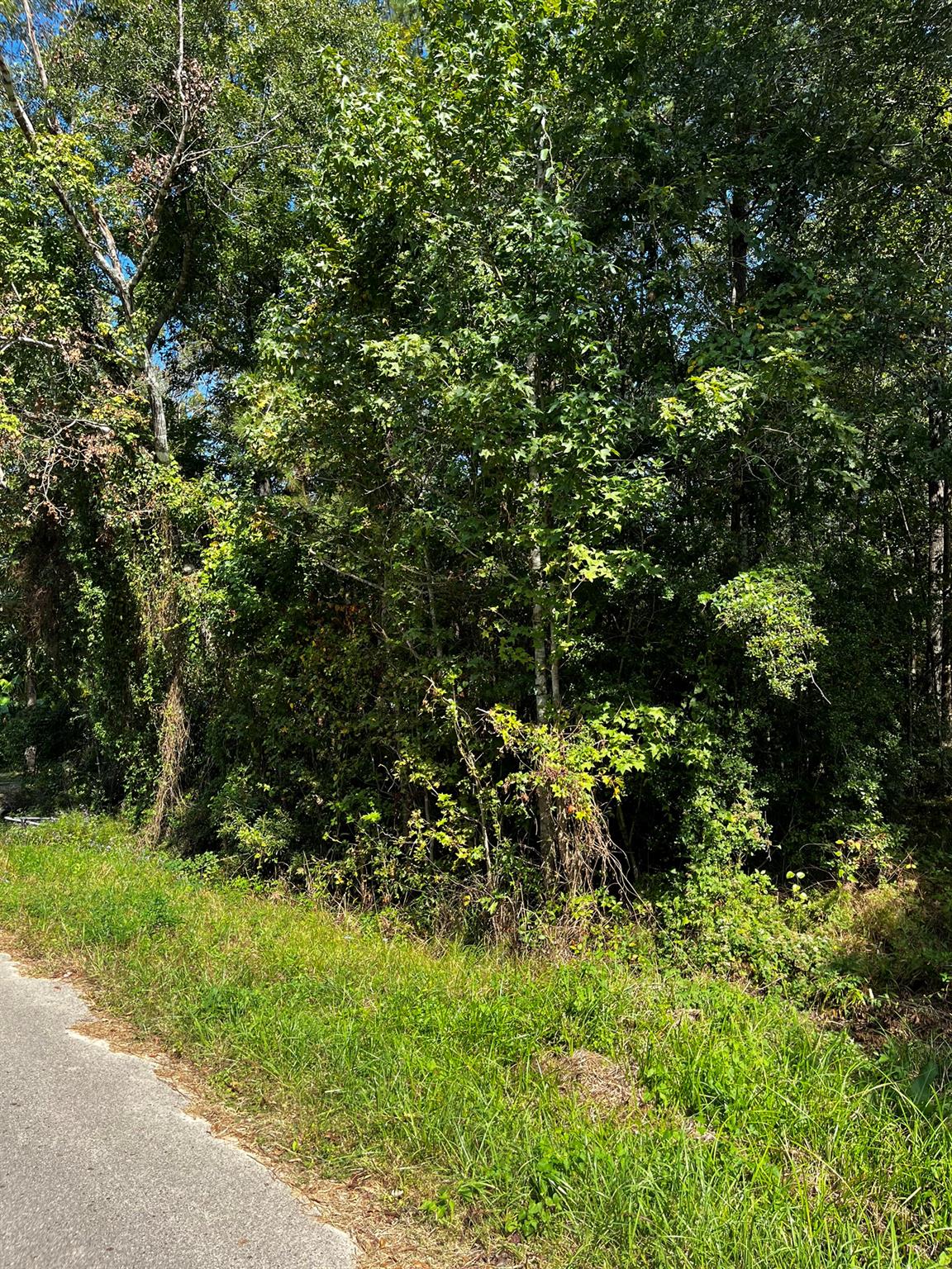 106 Indian Creek Circle