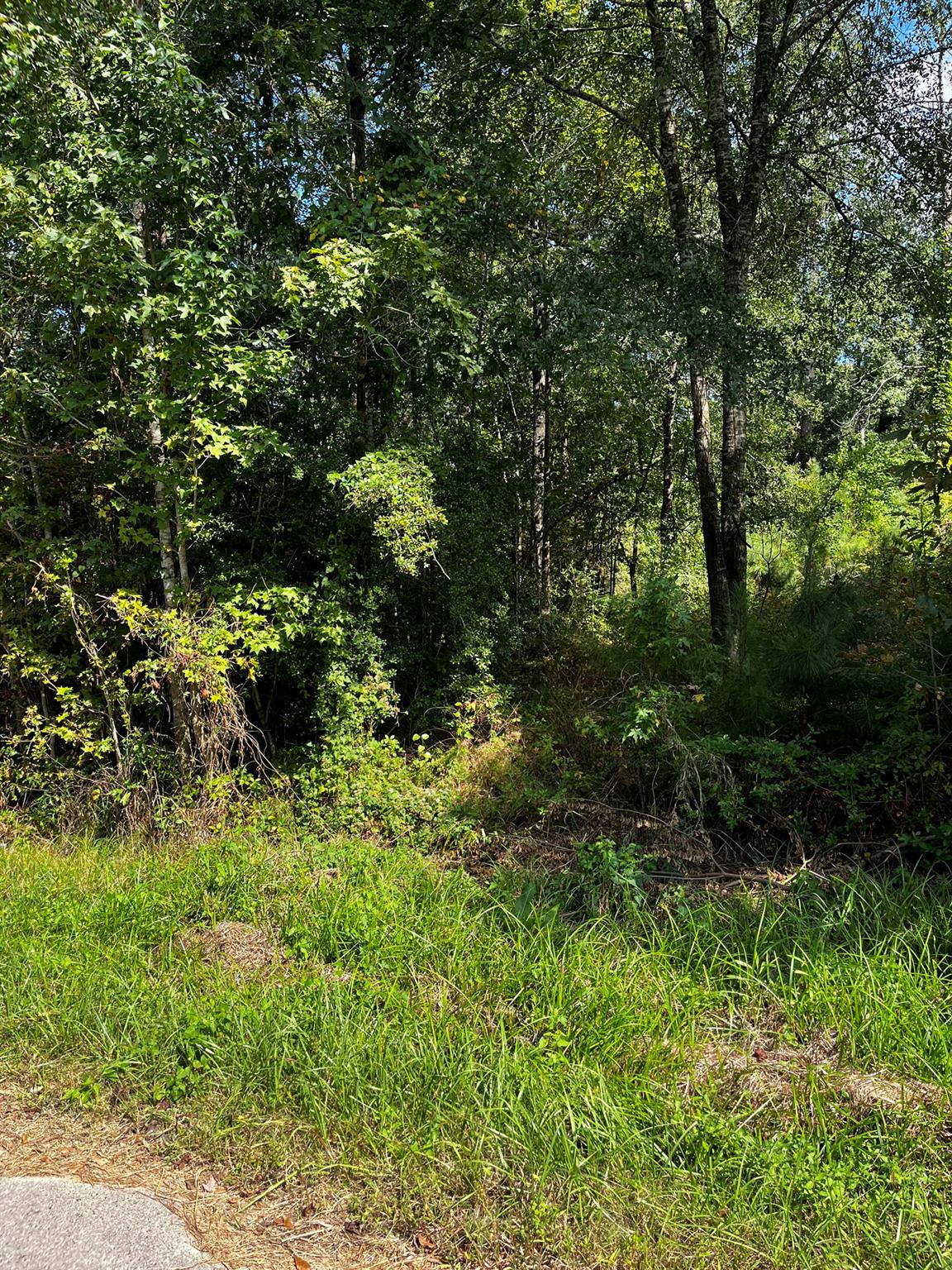 106 Indian Creek Circle