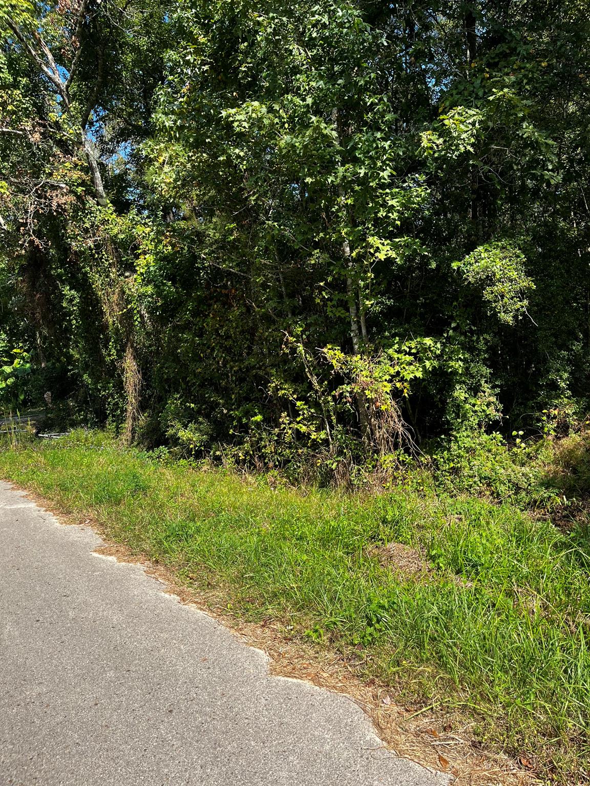 106 Indian Creek Circle