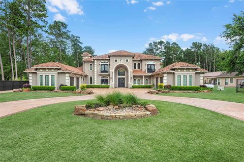 Photo of 22721 Sonora Drive, Porter, TX 77365 (MLS # 94851773)