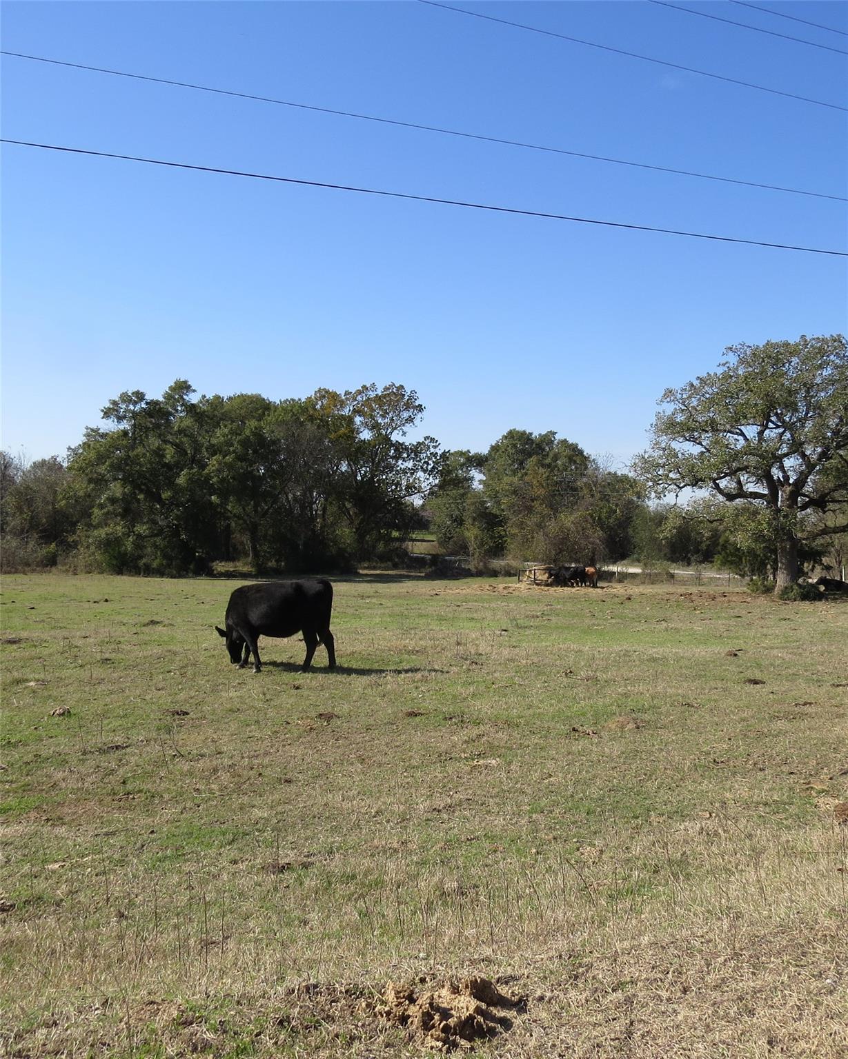 7538 Rocky Ridge Lane