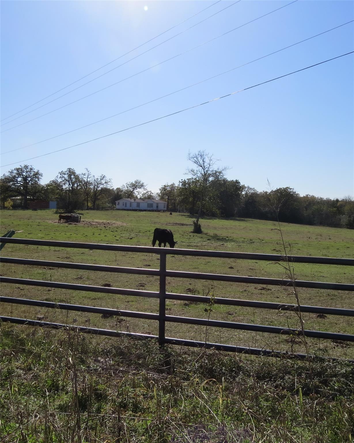 7538 Rocky Ridge Lane