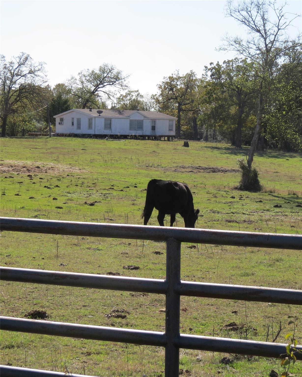 7538 Rocky Ridge Lane