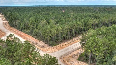 4848 Red Coyote Lane Montgomery TX 77316