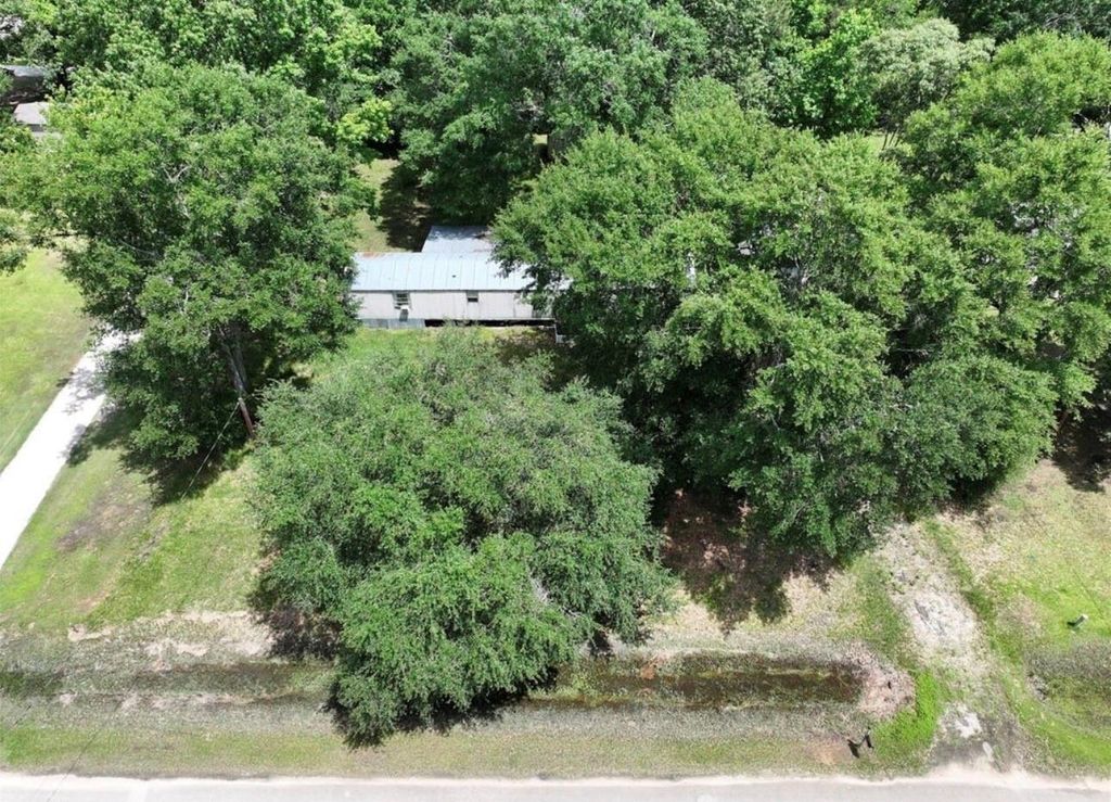 Photo of 214 County Road 2800, Cleveland, TX 77327 (MLS # 86347349)