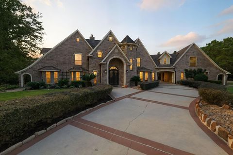 9003 Forest Lake Court Montgomery TX 77316