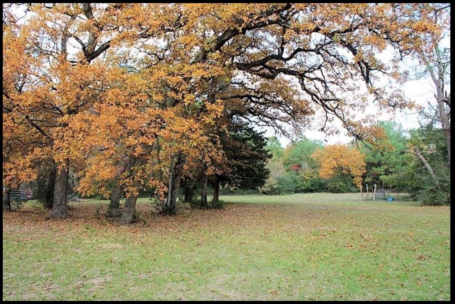 5312 Private Road 2065