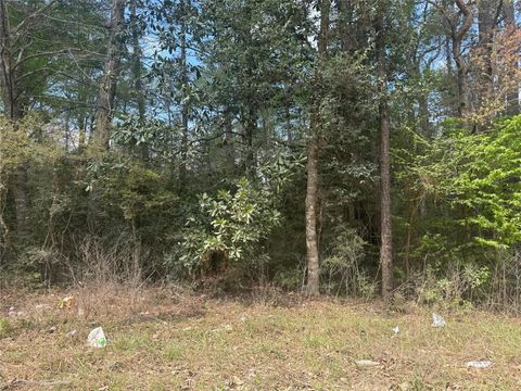 Vacant Land For Sale - TBD Big Foot Wallace Trail<br/> Polk County, Livingston, TX 77351