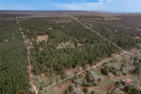 Vacant Land For Sale - 14254 Cr 2080<br/> Crockett, TX 75835