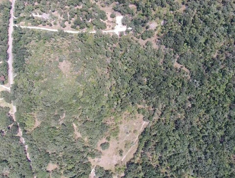 Photo of 0 Brazos River Road, Damon, TX 77430 (MLS # 82628729)