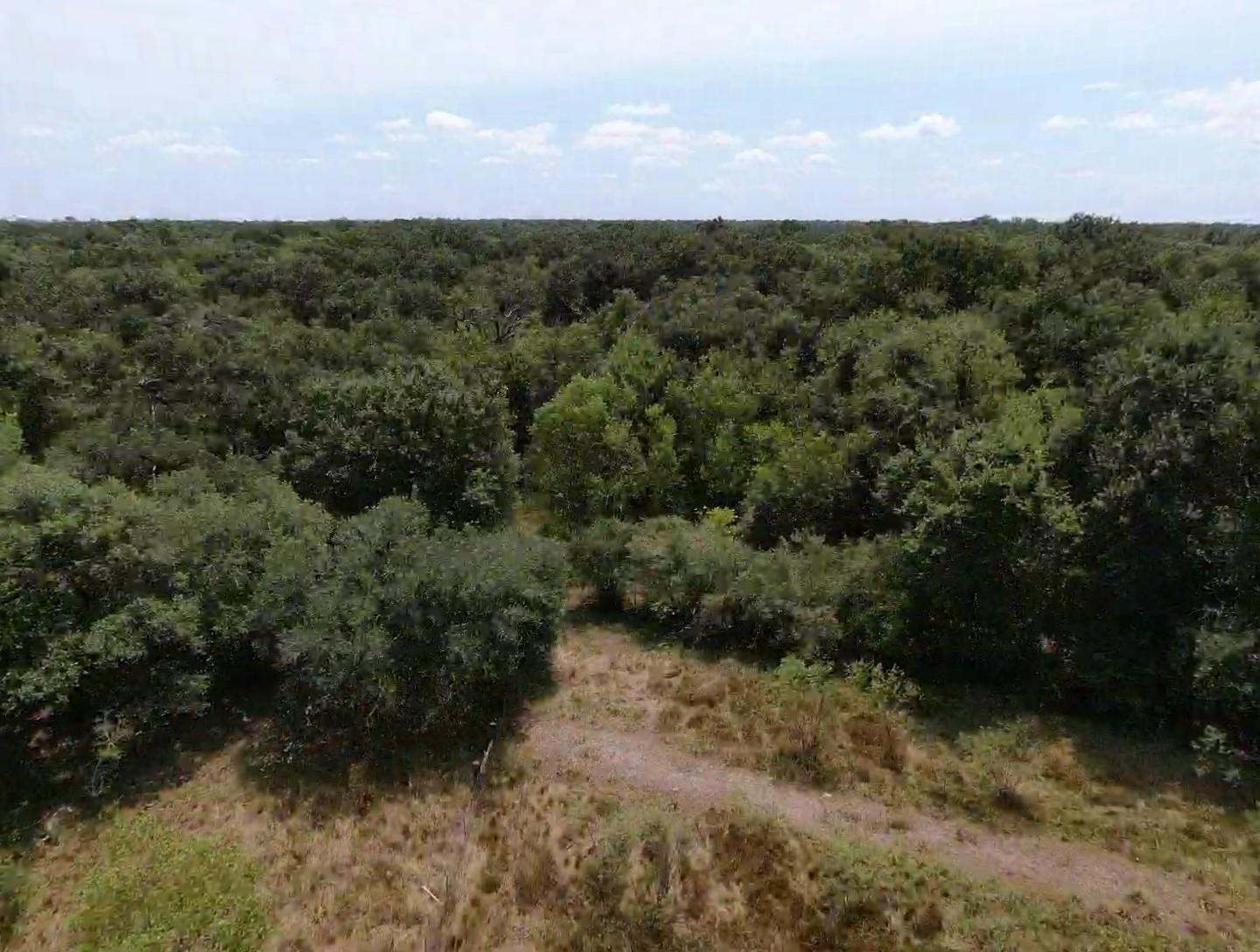 7800 A Brazos River Road
