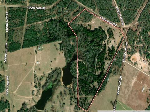 850 County Road 277 Buffalo TX 75831