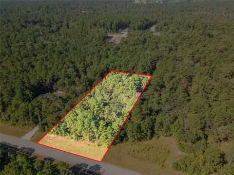 Photo of 185 Rim Rock Road, Huntsville, TX 77340 (MLS # 34517459)
