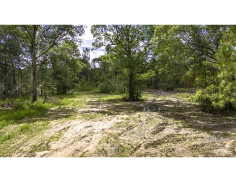Photo of TBD Lot 002 Holland Road, Moscow, TX 75960 (MLS # 72037332)