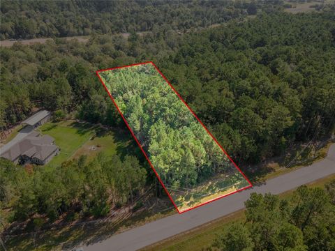 Photo of 12 Prosperity Court, New Waverly, TX 77358 (MLS # 30439323)