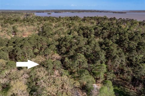 Vacant Land For Sale - 00 Holly Lane<br/> Trinity County, Trinity, TX 75862