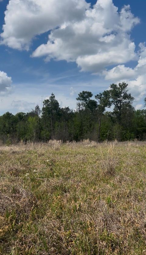 Photo of 2147 8160 Tract 36, Lovelady, TX 75851 (MLS # 75283570)