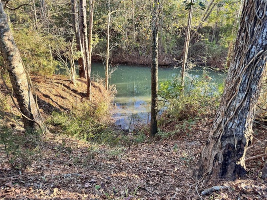 ADDRESS PRIVATE, HUFFMAN, TX 77336 - Image e088032ccb19ec4e616d2eeddad0b0bc/754787213
