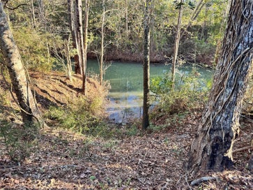Lot98 Barbil Lane Houston TX 77336