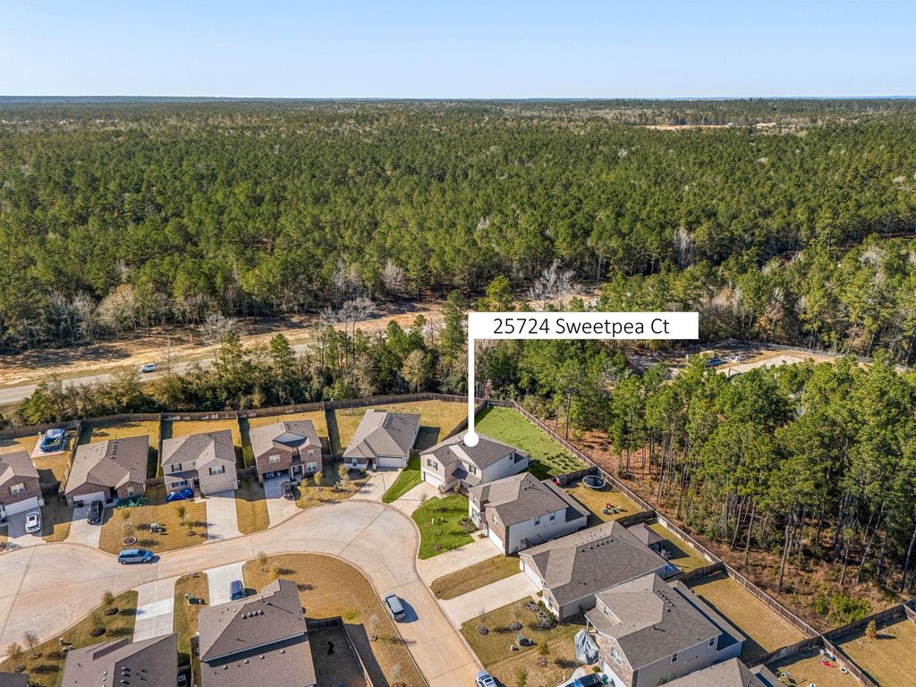 Photo of 25724 Sweetpea Court, Montgomery, TX 77316 (MLS # 40048915)