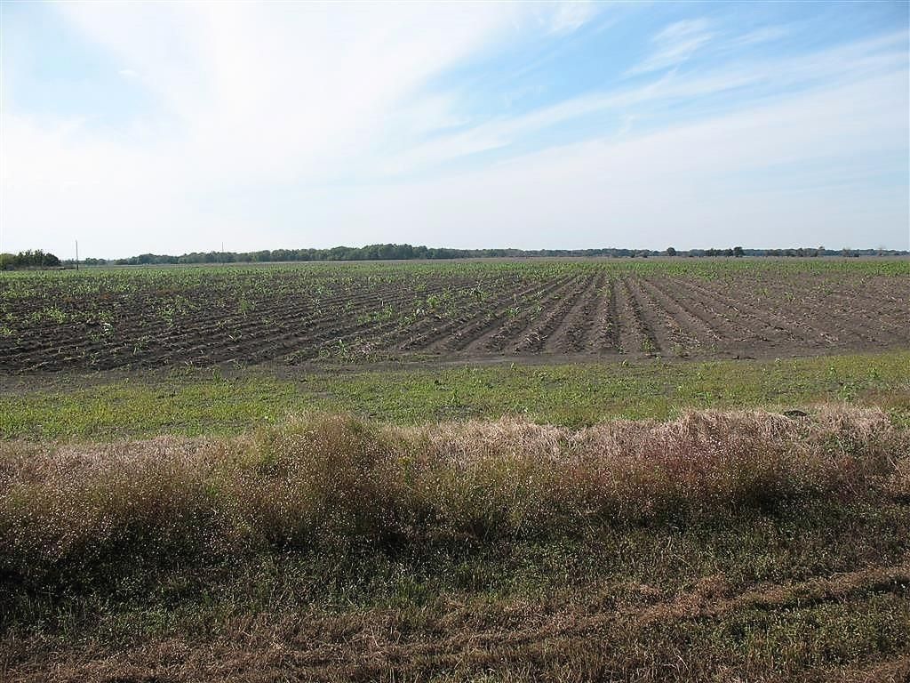 Photo of 28002 Highway 36 At County Road 21 Highway, Damon, TX 77430 (MLS # 53593922)