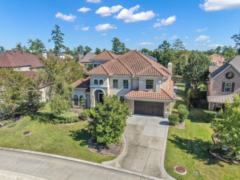 14 Spincaster Drive Spring TX 77389