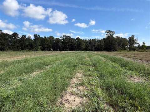 Tiny photo for TBD Jernigan Rd, Conroe, TX 77306 (MLS # 3623237)