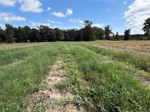 Tiny photo for TBD Jernigan Rd, Conroe, TX 77306 (MLS # 3623237)