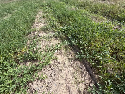 Tiny photo for TBD Jernigan Rd, Conroe, TX 77306 (MLS # 3623237)