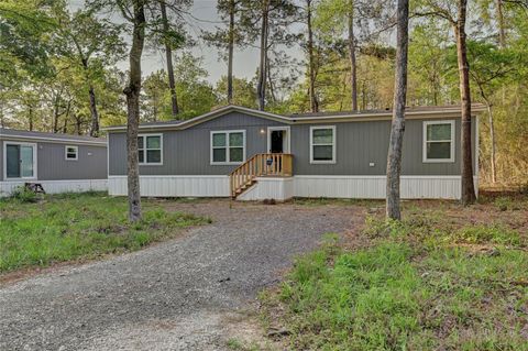 Photo of 7996 Tawnyberry Lane, Plantersville, TX 77363 (MLS # 53345484)