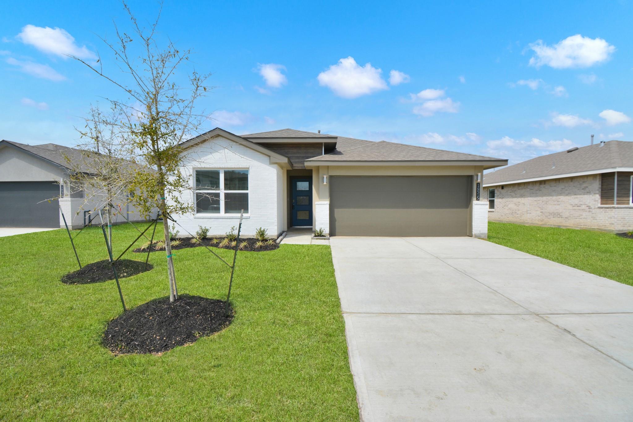 14515 Rain Tree Drive
