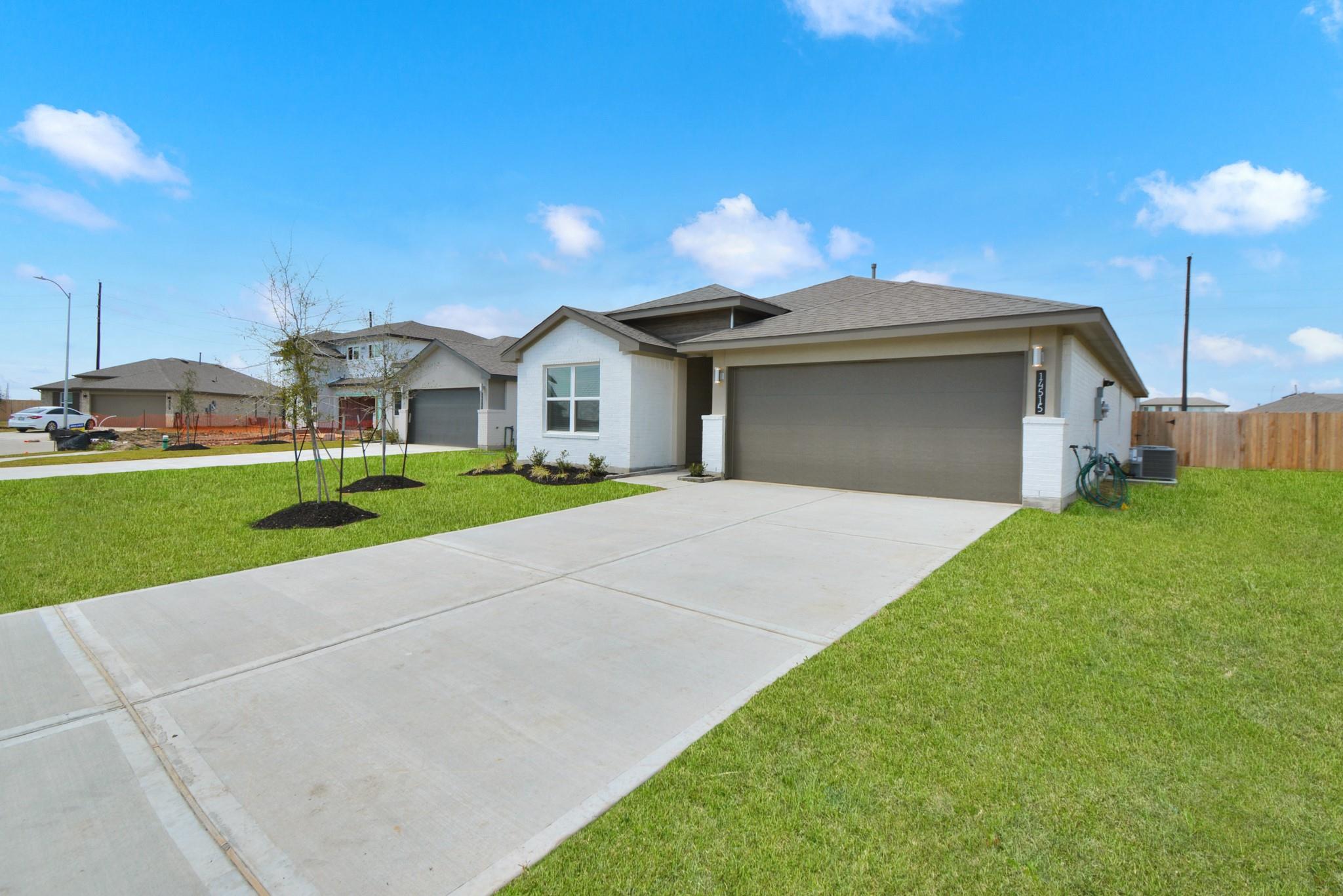 14515 Rain Tree Drive