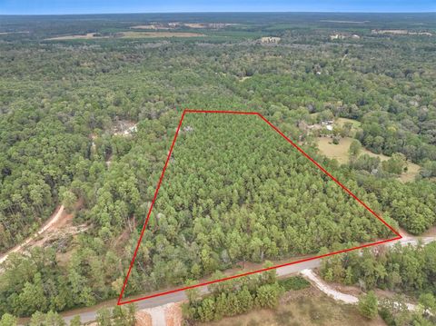 Photo of 0 E Williams Road, Conroe, TX 77303 (MLS # 6271513)