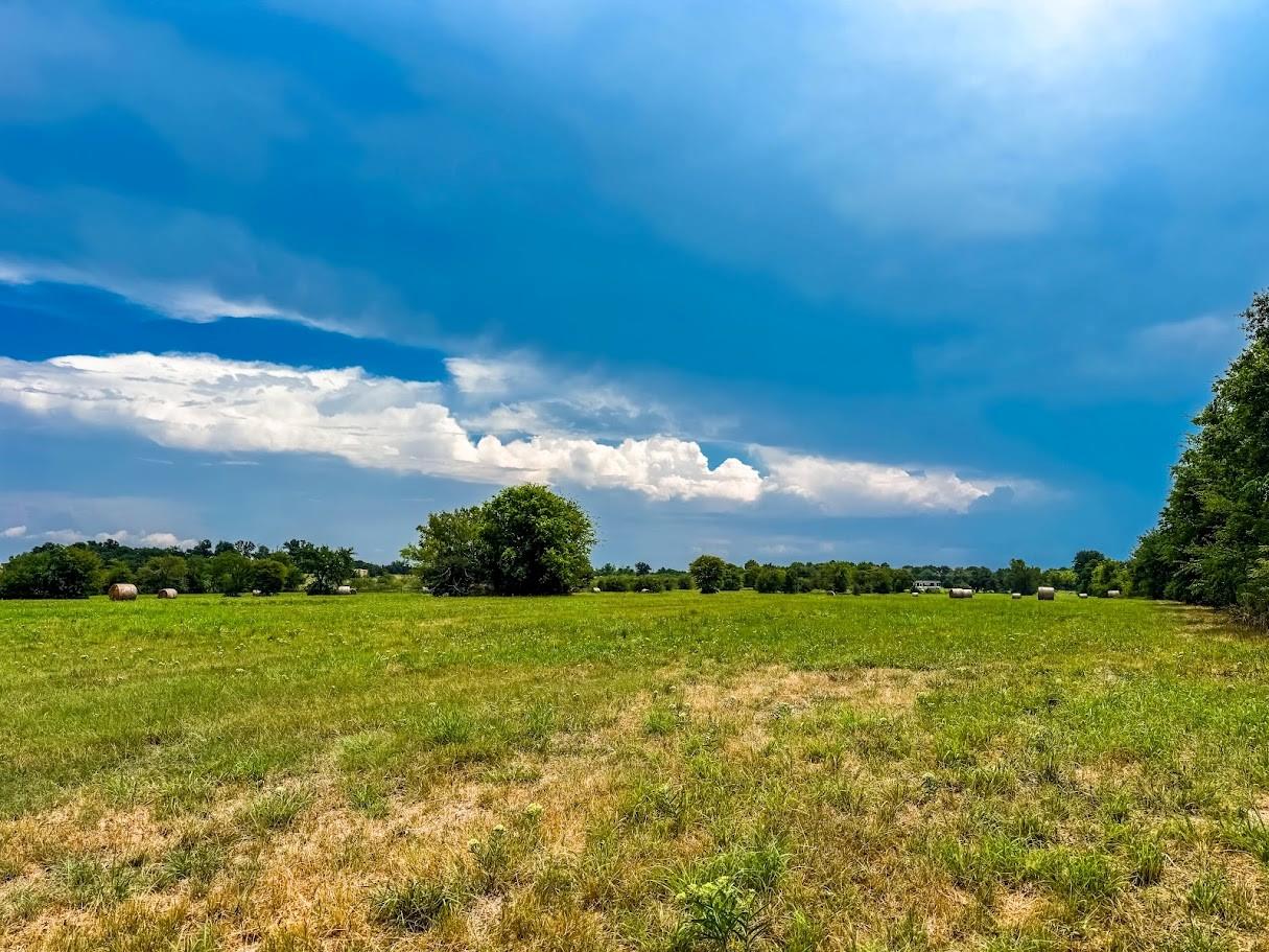 TBD Old Palestine Road