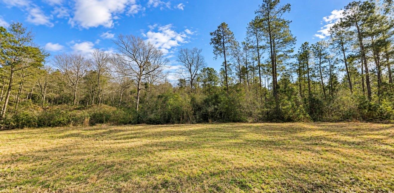 10529 Link Tree Lane