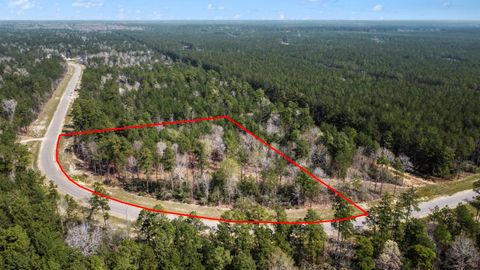 Photo of 15370 Red Hawk Road, Willis, TX 77378 (MLS # 50806827)