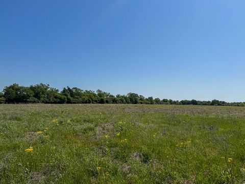 Photo of 2 County Road 123, Iola, TX 77861 (MLS # 31936367) Photo of 2 County Road 123, Iola, TX 77861 (MLS # 31936367)